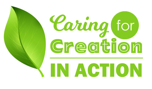 Sustainability-Seekers-Caring-for-Creation