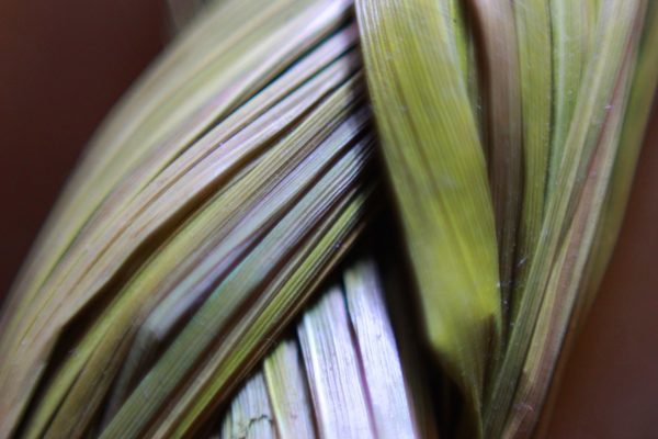 1200px-Braided_Sweet_Grass