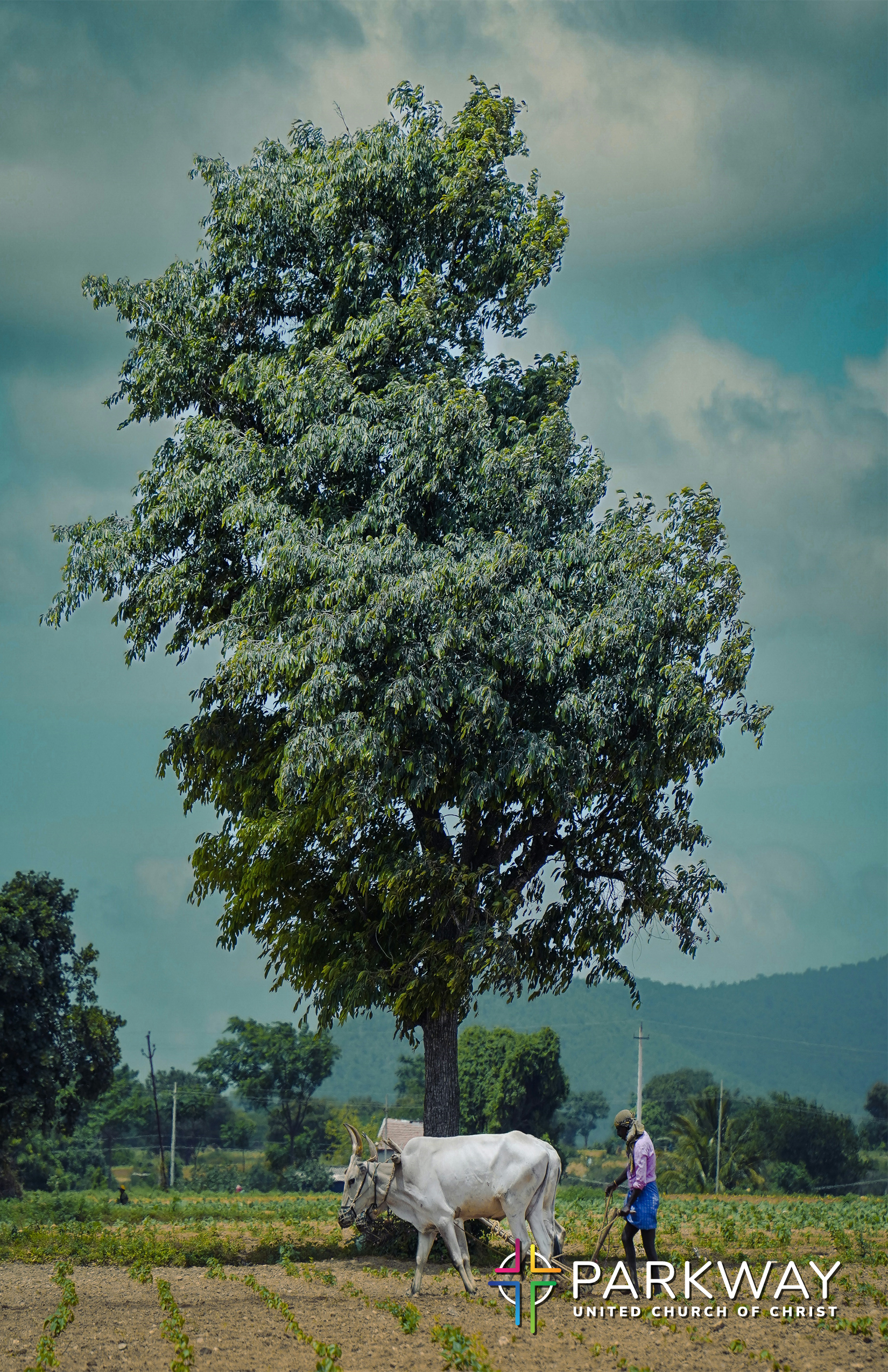 current bulletin cover