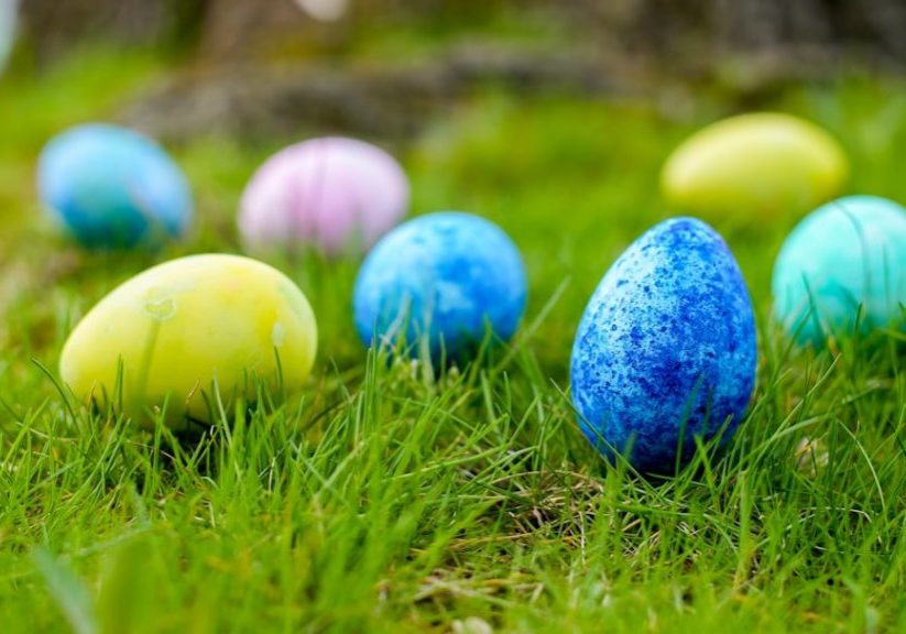 photo-1663069406481-d0d863af964d